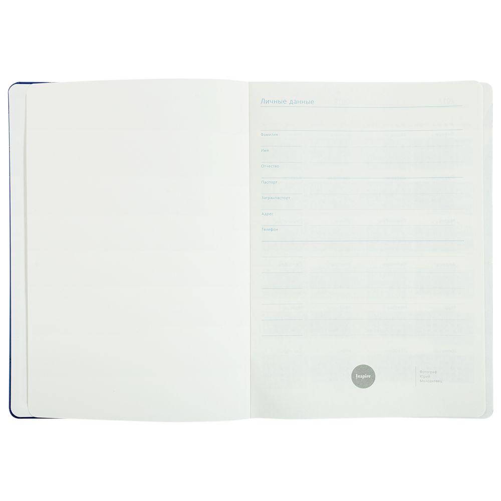 Ежедневник «Эрмитажные коты», синий, уценка / Миниатюра WWW (1000)