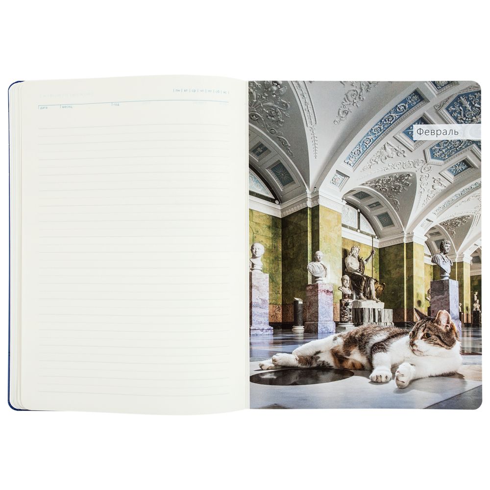 Ежедневник «Эрмитажные коты», синий, уценка / Миниатюра WWW (1000)