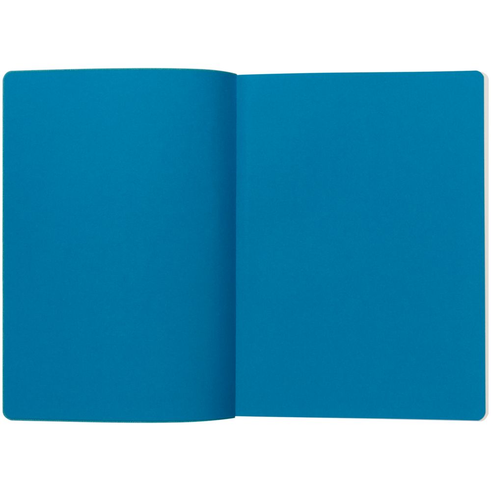 Ежедневник Flexpen Black, недатированный, черный с бирюзовым / Миниатюра WWW (1000)