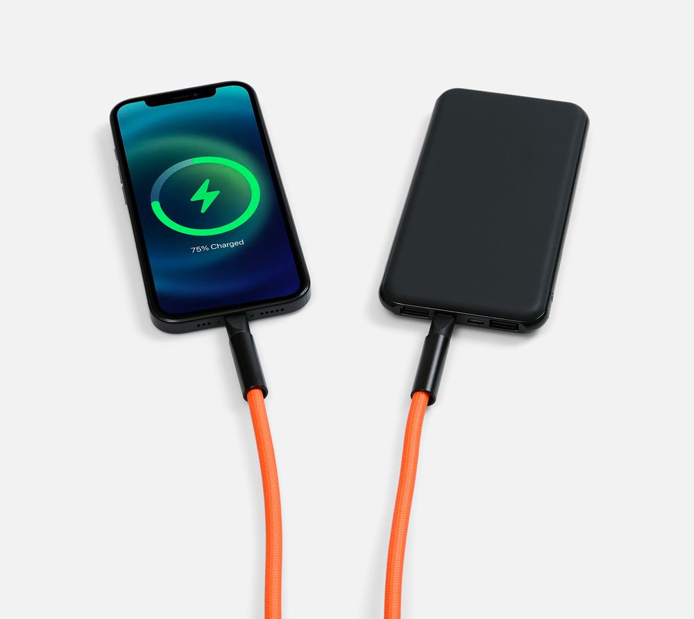 Кабель-ланьярд energyFlex Power Delivery 60 Вт, оранжевый / Миниатюра WWW (1000)
