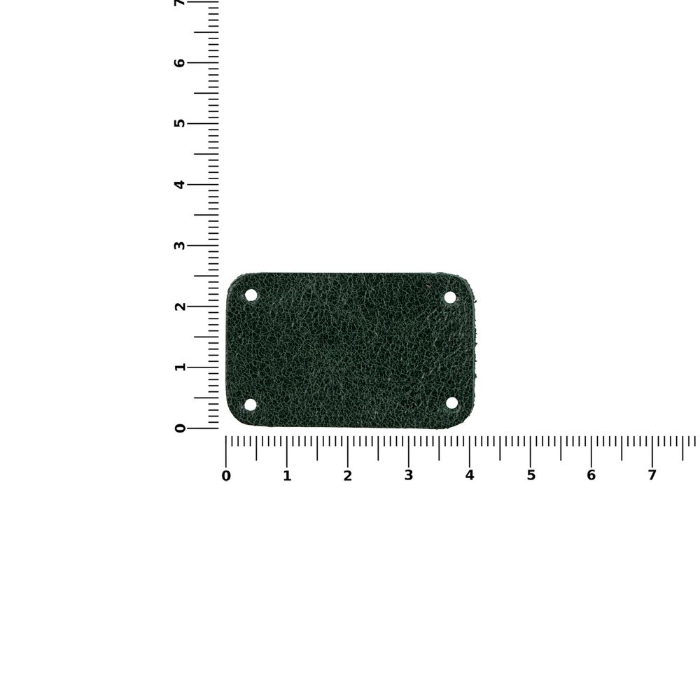 Лейбл кожаный Beta, S, зеленый / Миниатюра WWW (1000)