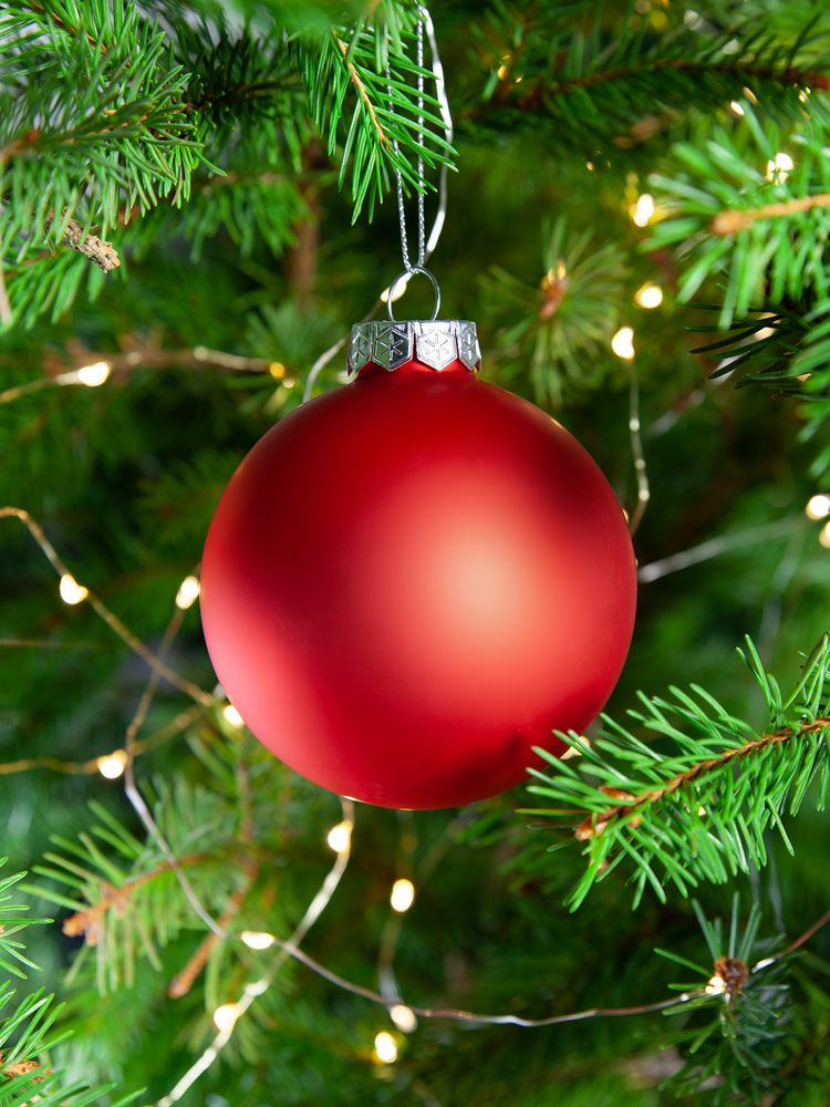 Елочный шар Finery Matt, 8 см, матовый красный / Миниатюра WWW (1000)