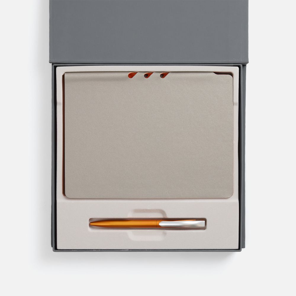 Набор Flexpen Grey, оранжевый / Миниатюра WWW (1000)