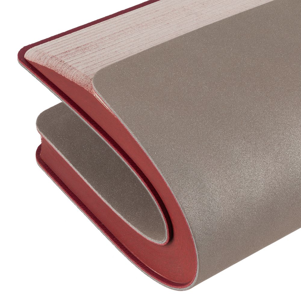 Набор Flexpen Energy, серебристо-красный / Миниатюра WWW (1000)