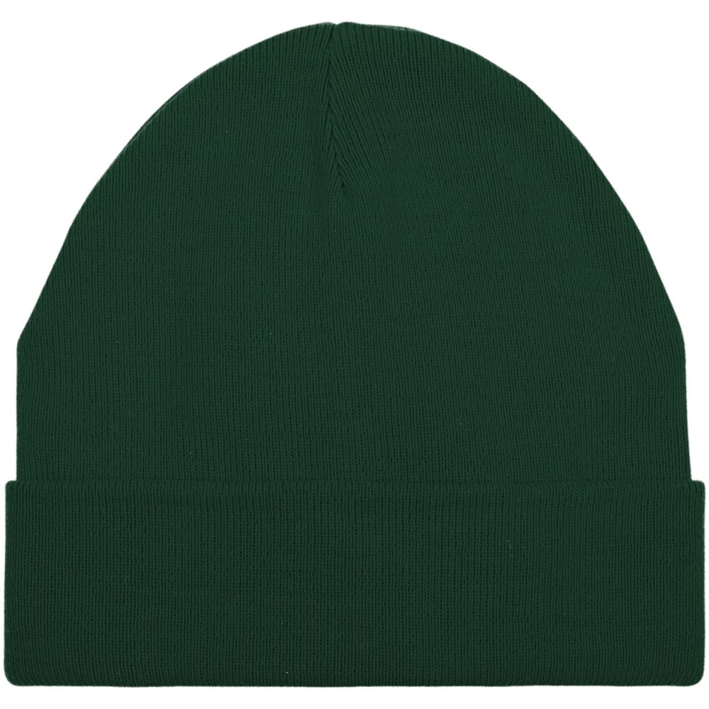 Шапка Real Talk, зеленая / Миниатюра WWW (1000)