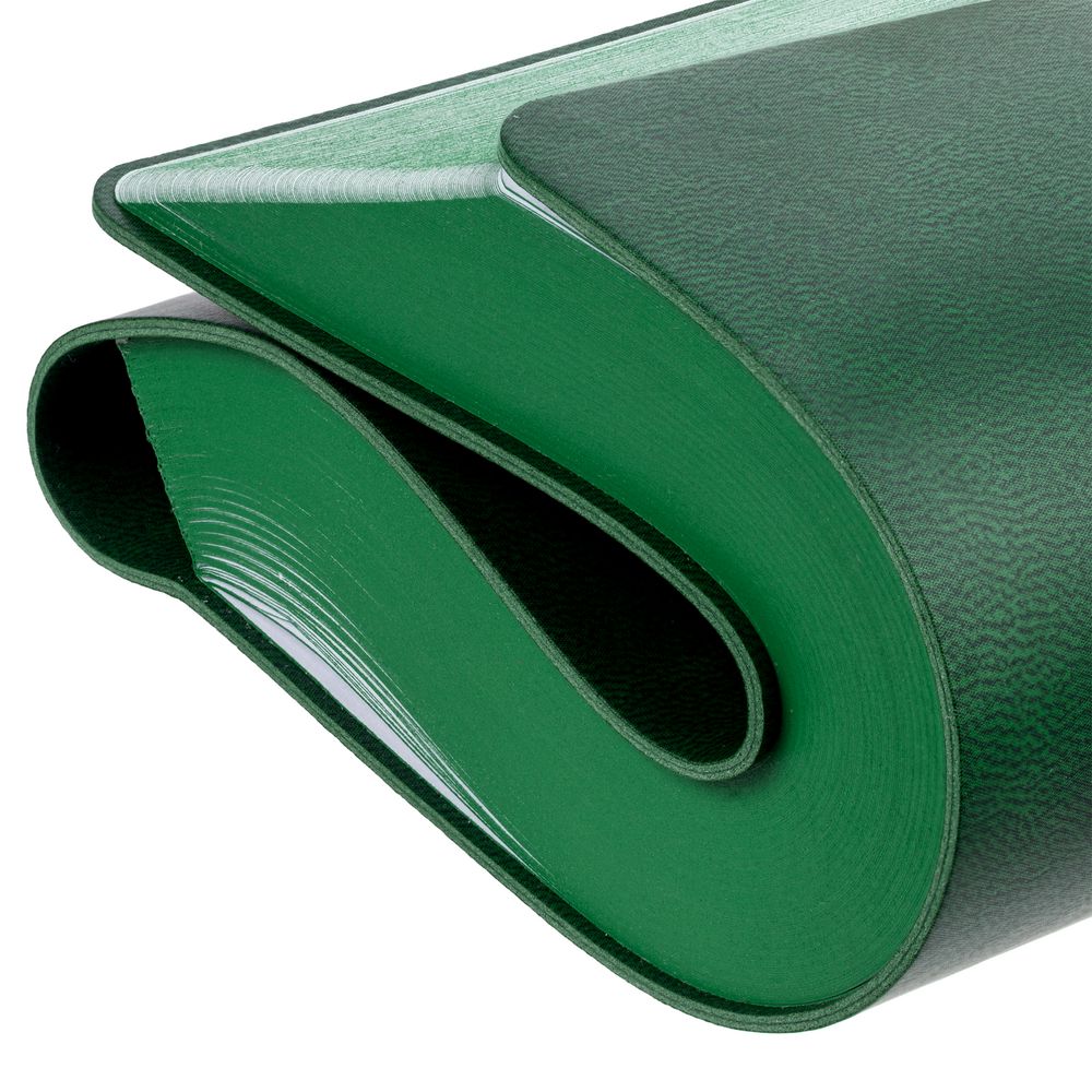 Ежедневник Flexpen Color, датированный, зеленый / Миниатюра WWW (1000)