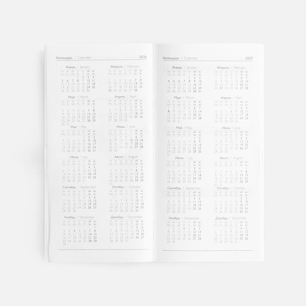 Еженедельник Baza, датированный, синий / Миниатюра WWW (1000)