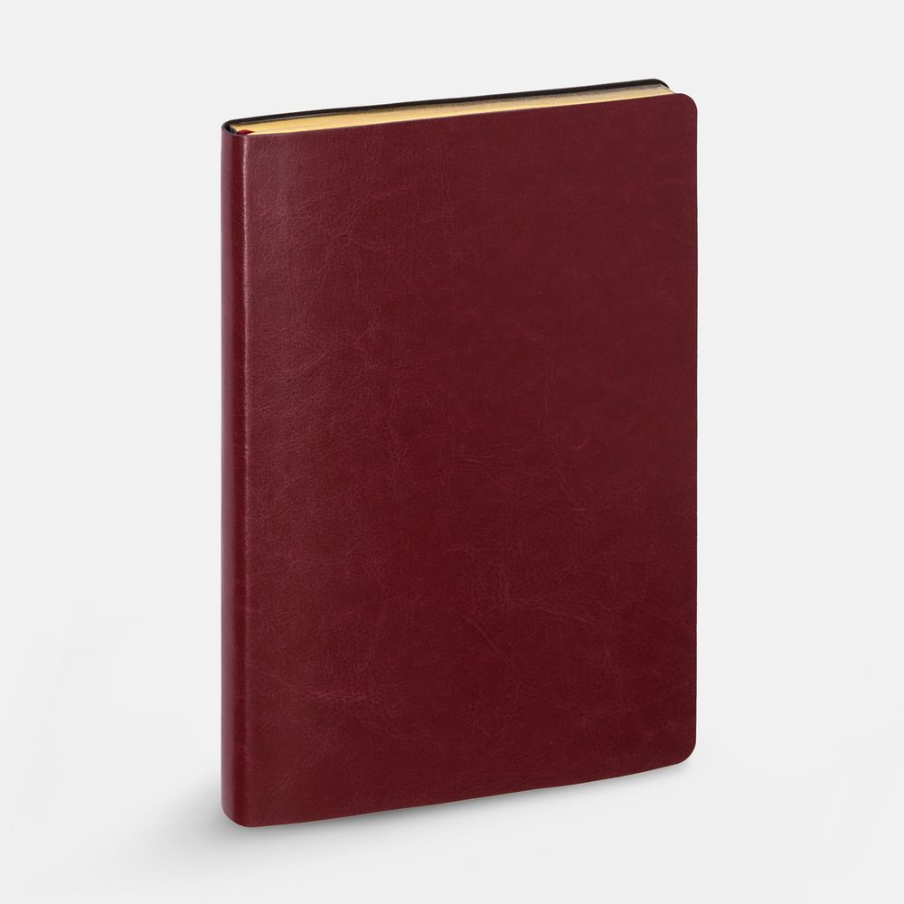 Ежедневник Nebraska Flex, недатированный, бордовый с золотистым / Миниатюра WWW (1000)