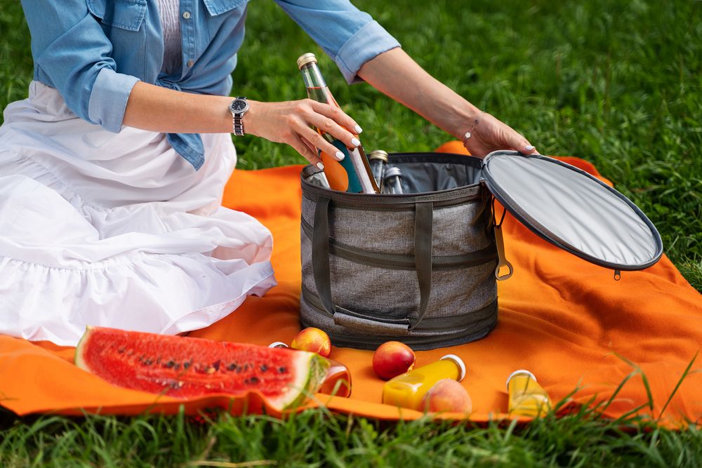 Складная термосумка Coast, синяя / Миниатюра WWW (1000)