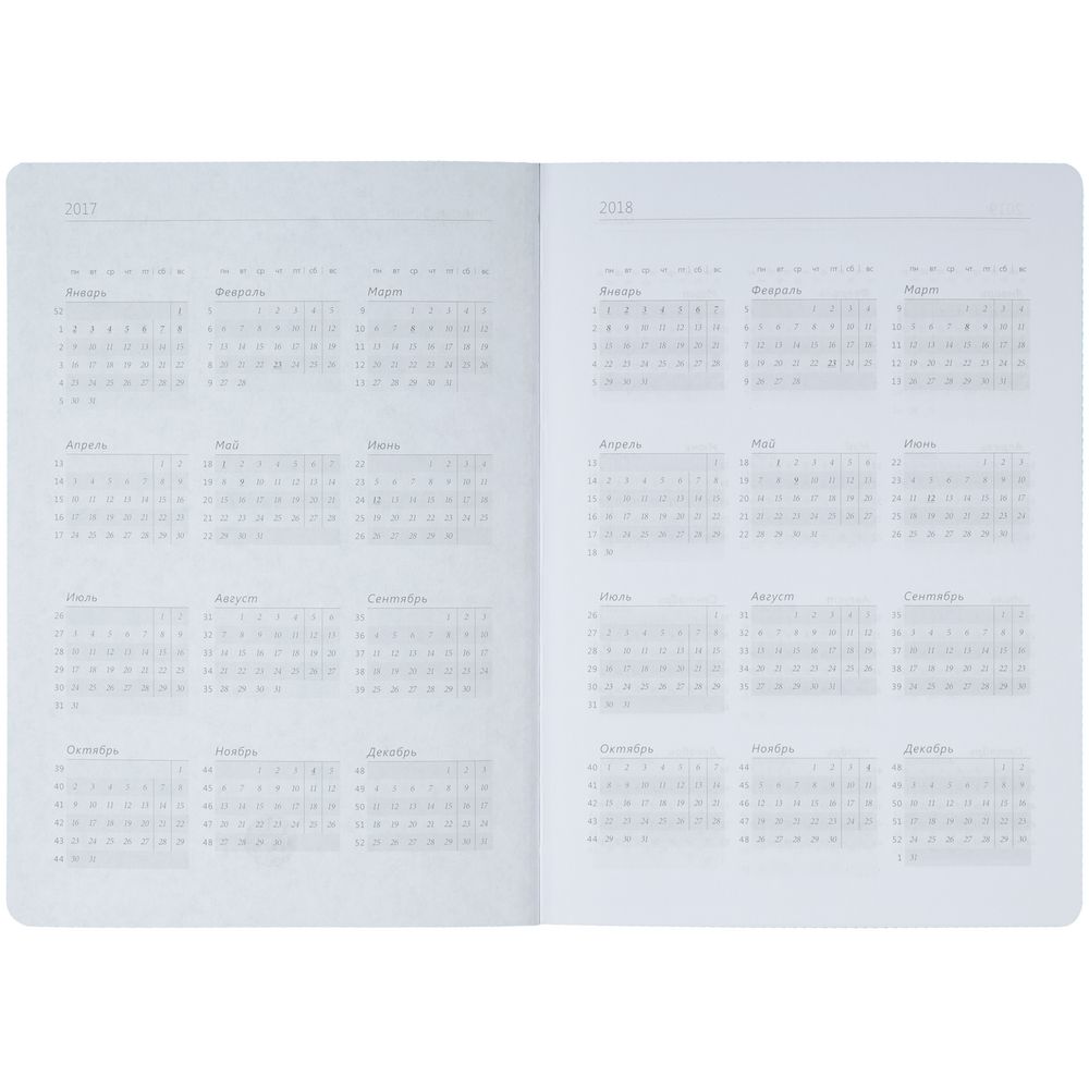 Ежедневник Jungle, недатированный, голубой, уценка / Миниатюра WWW (1000)