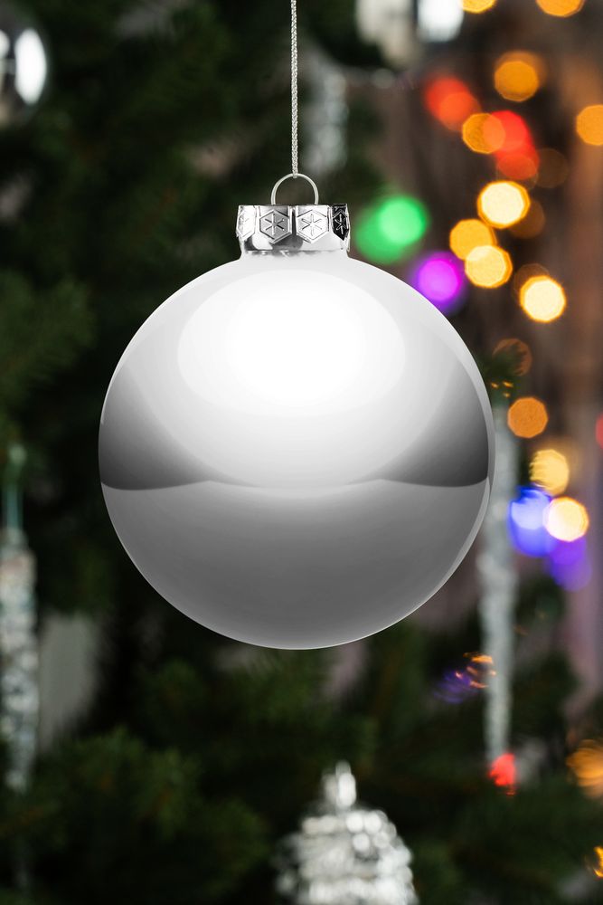 Елочный шар Finery Gloss, 10 см, глянцевый серебристый / Миниатюра WWW (1000)