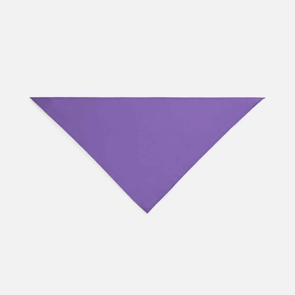 Шейный платок Bandana, темно-фиолетовый / Миниатюра WWW (1000)