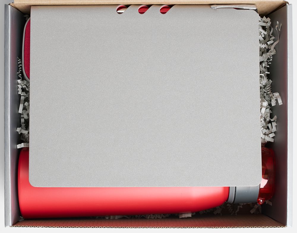 Набор Flexpen Flow, серый с красным / Миниатюра WWW (1000)