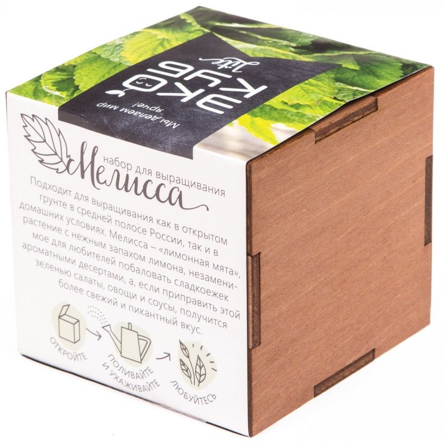 Набор для выращивания «Экокуб Lite», мелисса / Миниатюра WWW (1000)