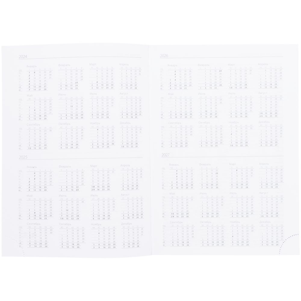 Ежедневник Vivian Metal, недатированный, зеленый / Миниатюра WWW (1000)