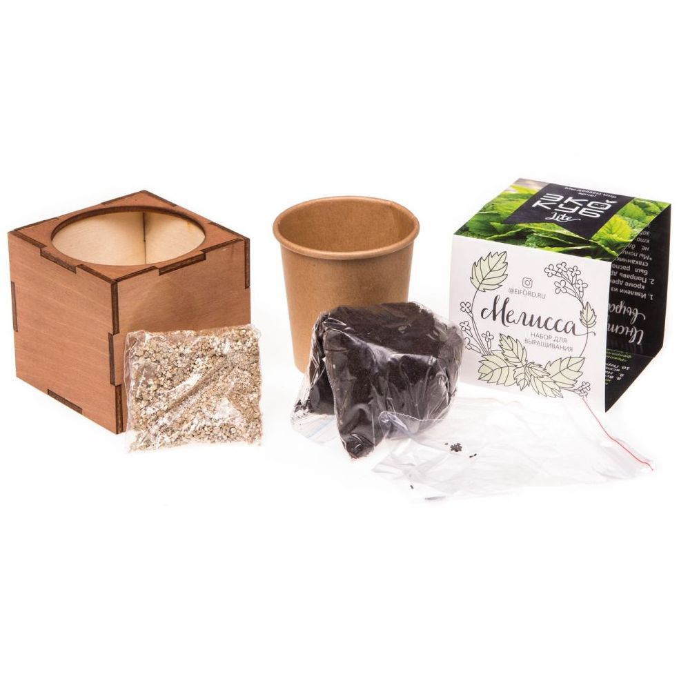 Набор для выращивания «Экокуб Lite», мелисса / Миниатюра WWW (1000)