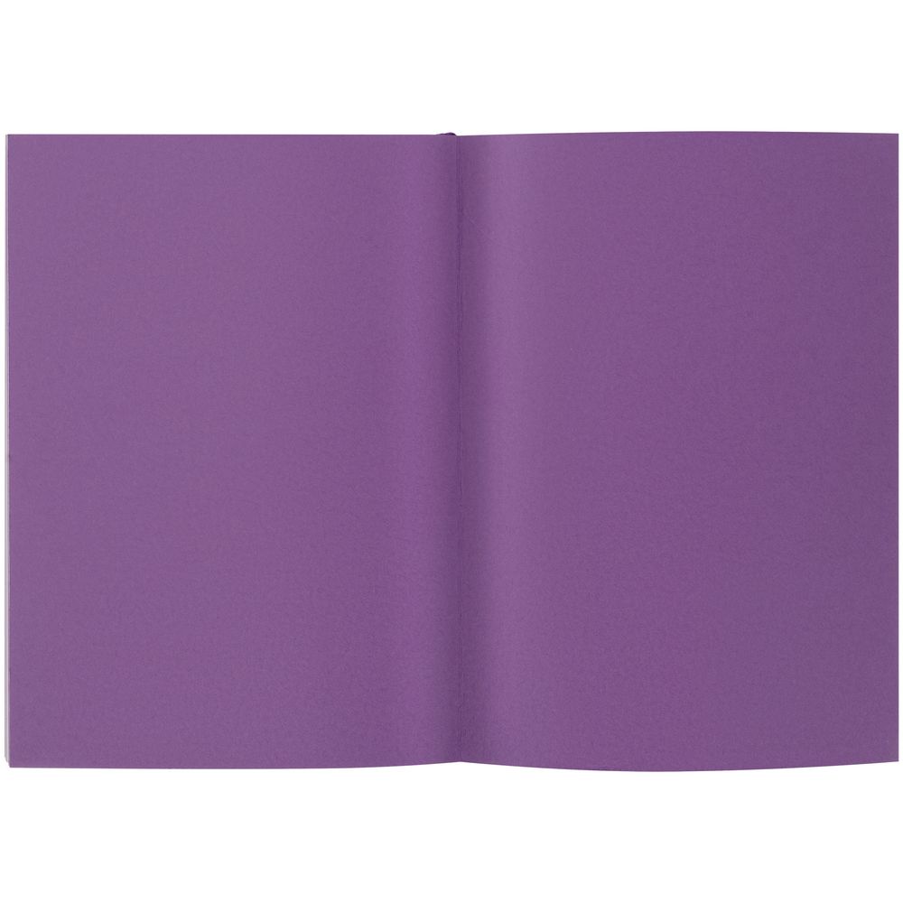 Ежедневник Flat, недатированный, фиолетовый / Миниатюра WWW (1000)