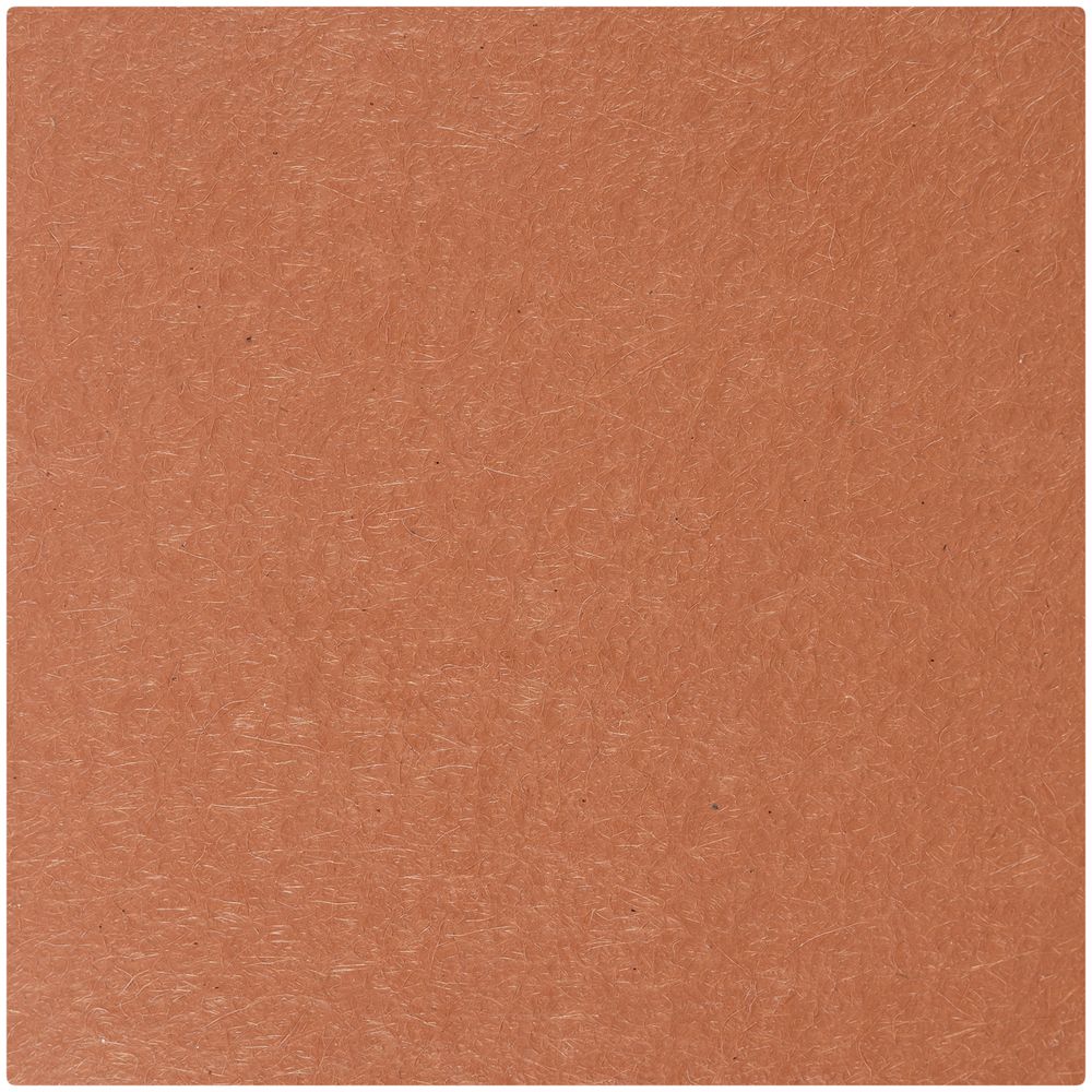 Лейбл Shan Nubuсk, L, коричневый / Миниатюра WWW (1000)