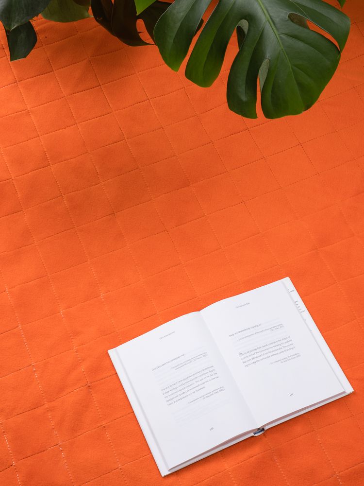 Плед для пикника Soft & Dry 2, оранжевый / Миниатюра WWW (1000)