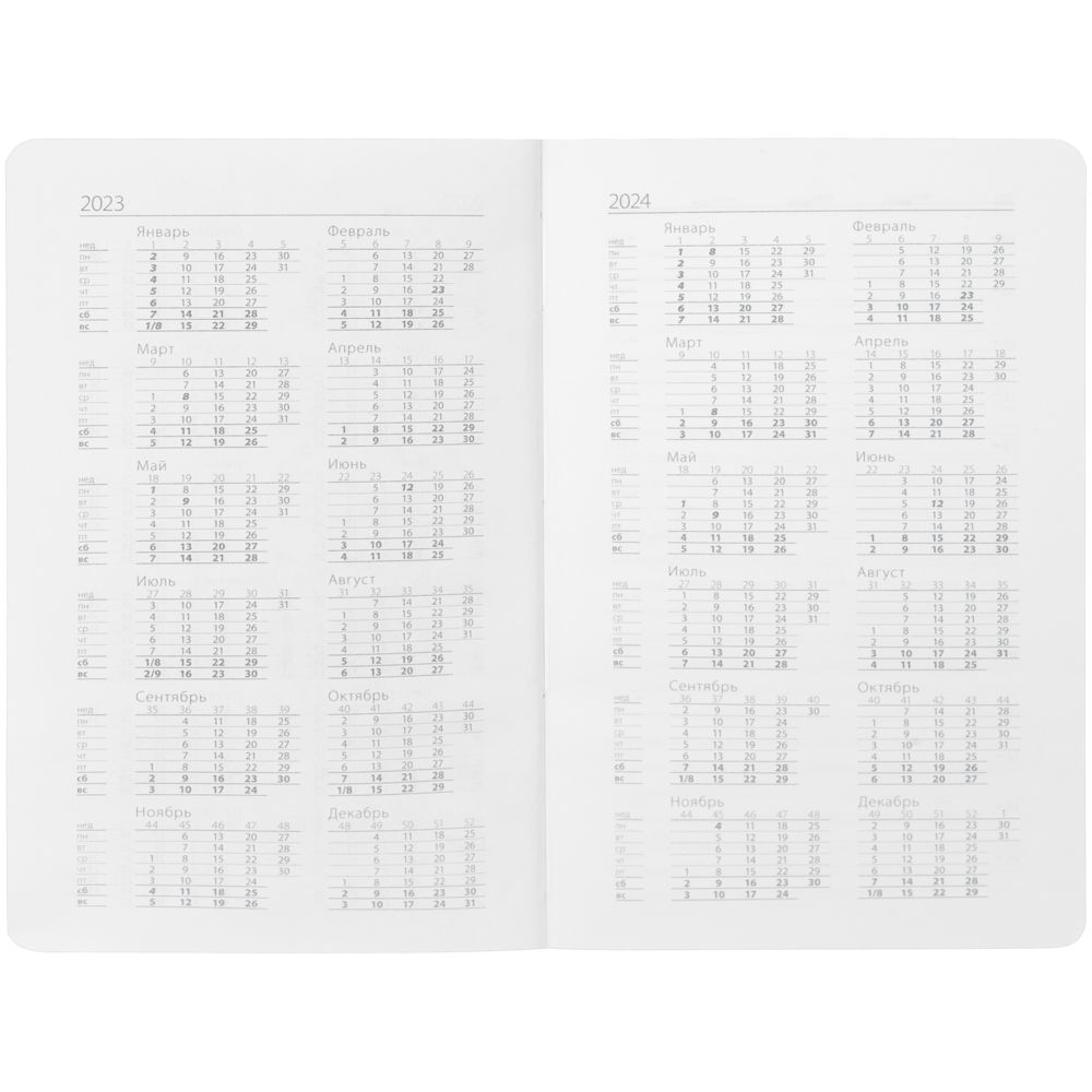 Ежедневник Basis Mini, недатированный, черный / Миниатюра WWW (1000)