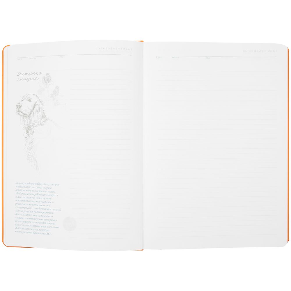 Ежедневник «История изобретений», недатированный, оранжевый / Миниатюра WWW (1000)