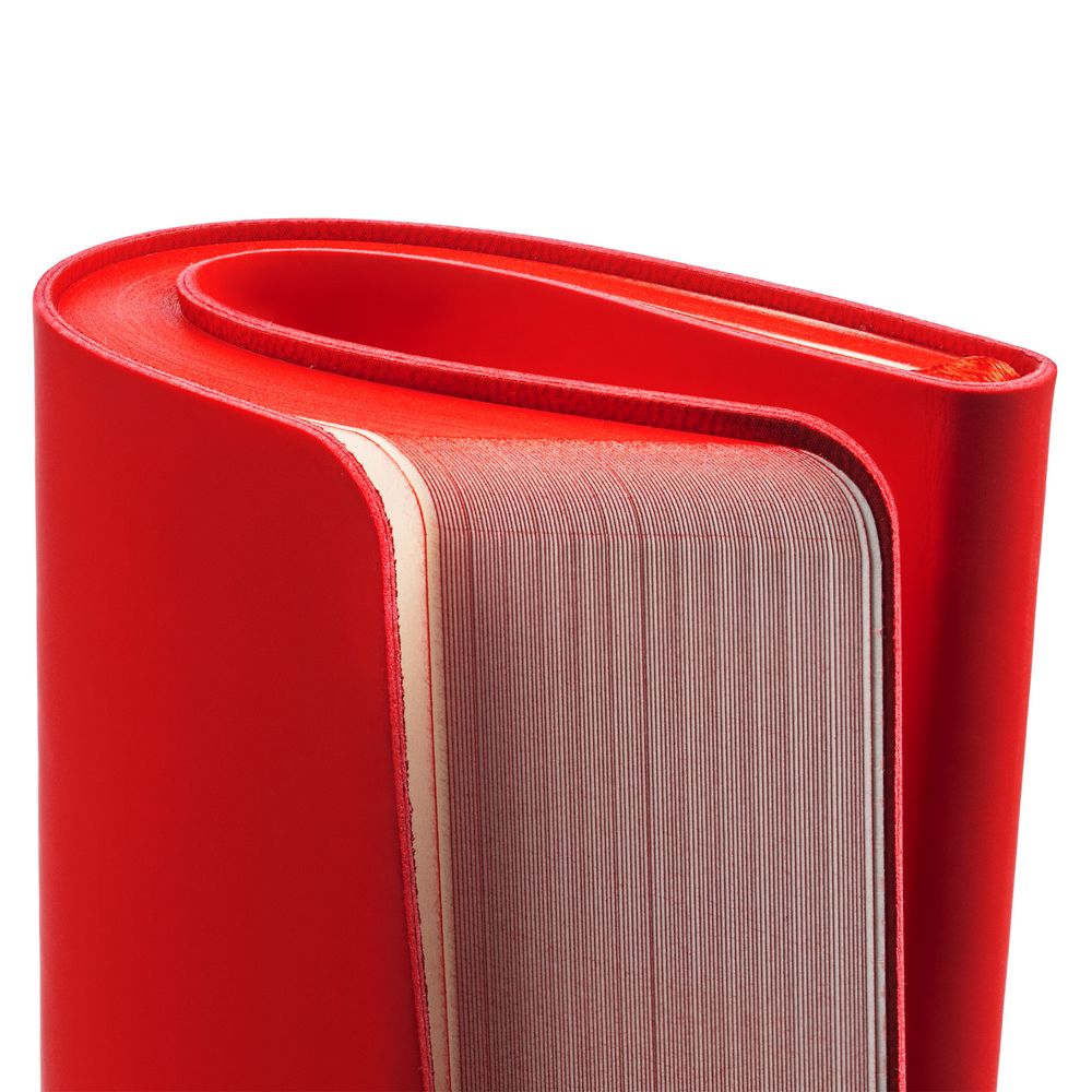 Ежедневник Shall Light, недатированный, красный / Миниатюра WWW (1000)