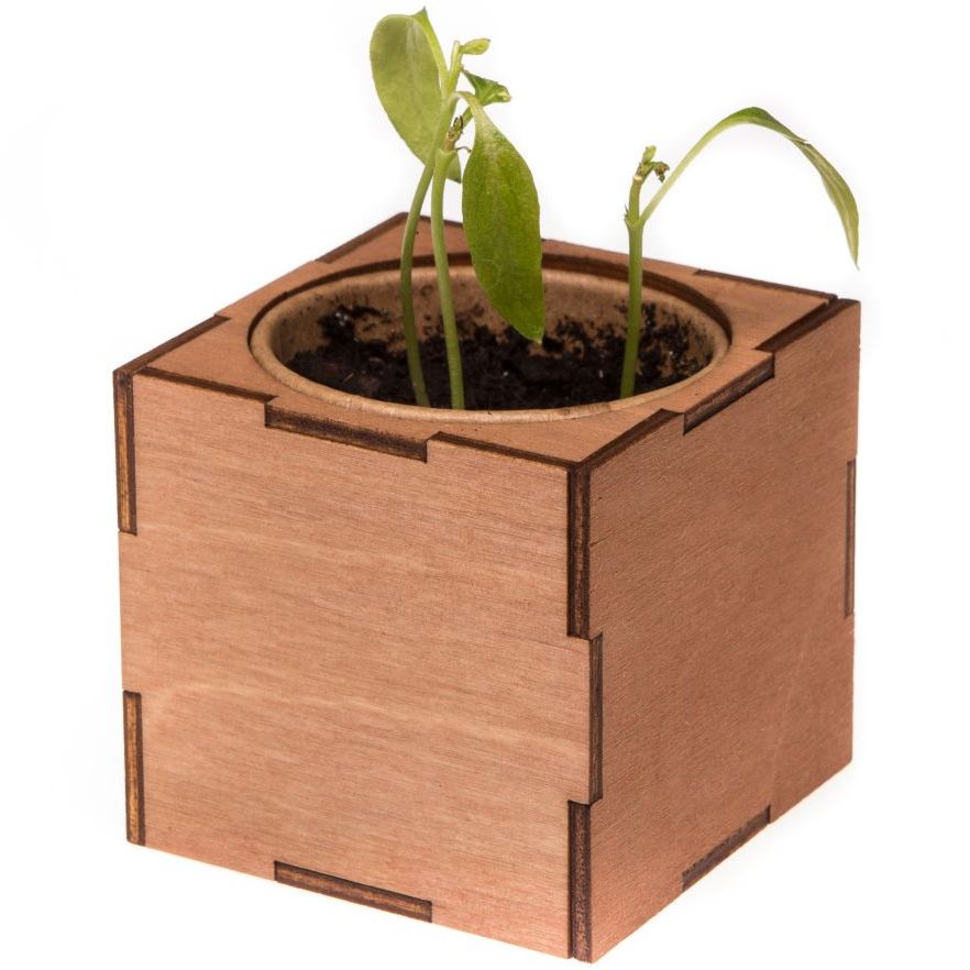 Набор для выращивания «Экокуб Lite», перчик / Миниатюра WWW (1000)