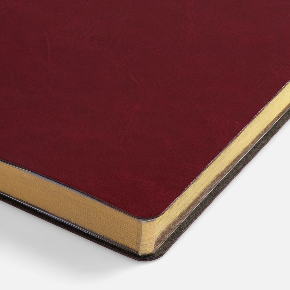 Ежедневник Nebraska Flex, недатированный, бордовый с золотистым / Миниатюра WWW (1000)