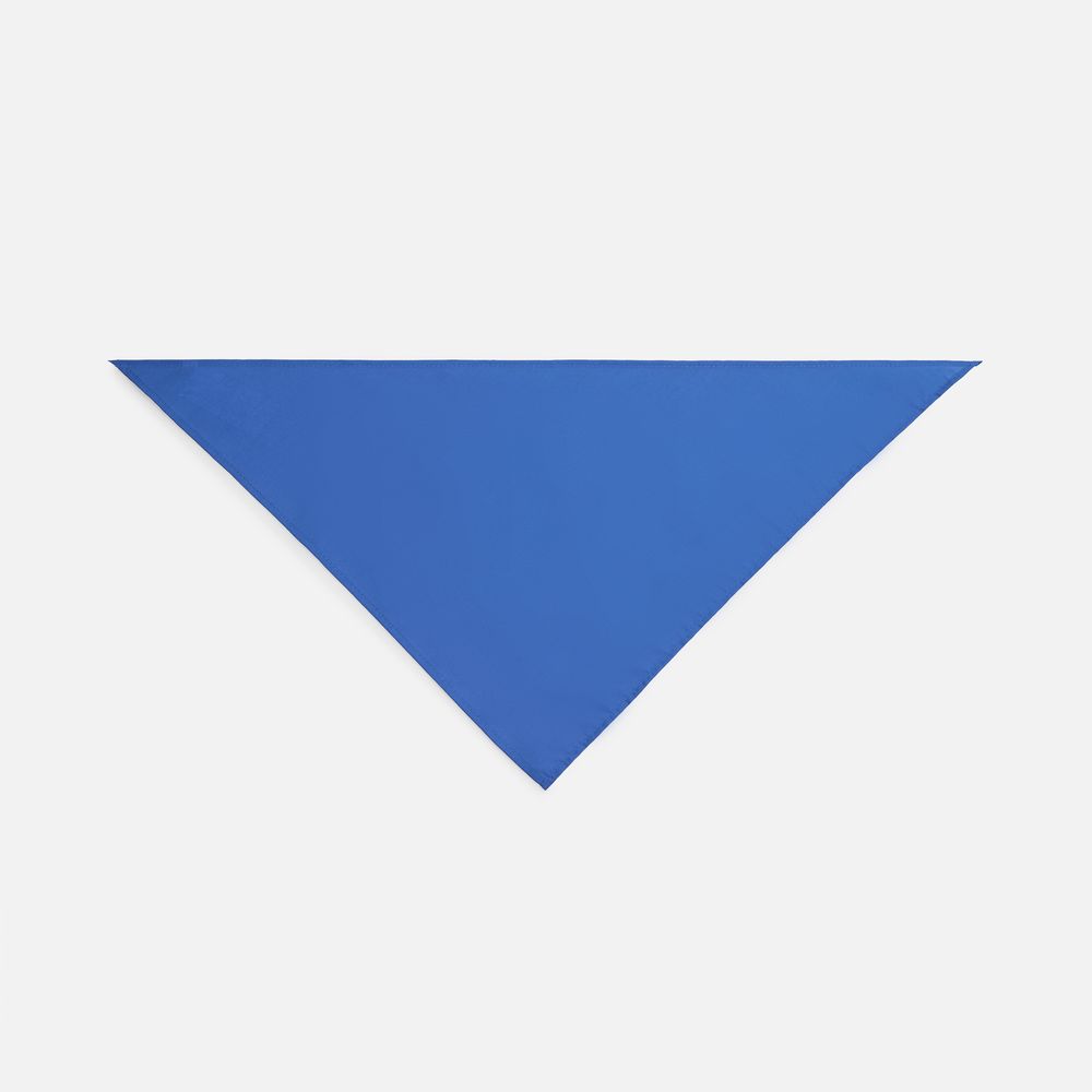 Шейный платок Bandana, ярко-синий / Миниатюра WWW (1000)