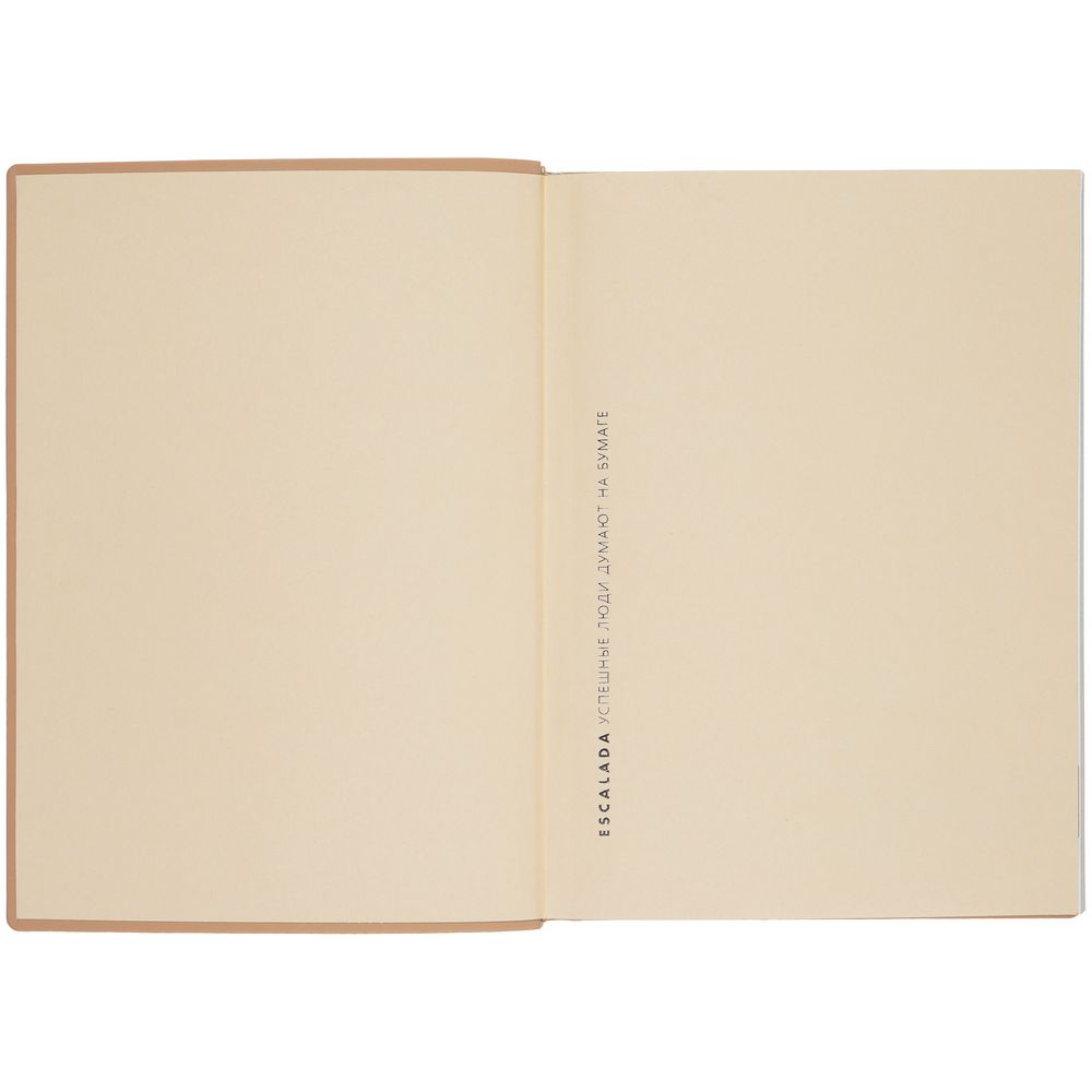 Ежедневник Anaconda, недатированный, золотистый / Миниатюра WWW (1000)