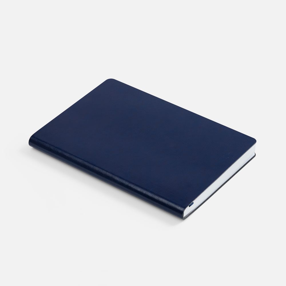 Ежедневник Nebraska Flex, недатированный, синий с серебром / Миниатюра WWW (1000)