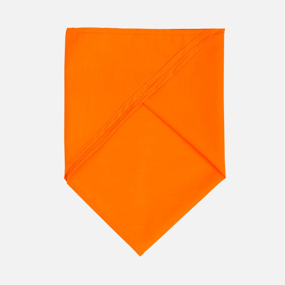 Шейный платок Bandana, оранжевый / Миниатюра WWW (1000)