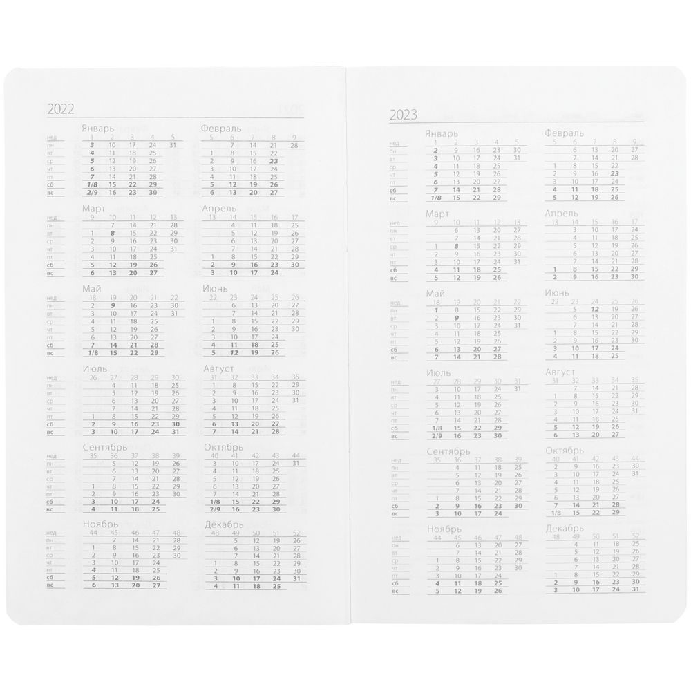 Ежедневник Basis Mini, недатированный, цвет морской волны / Миниатюра WWW (1000)