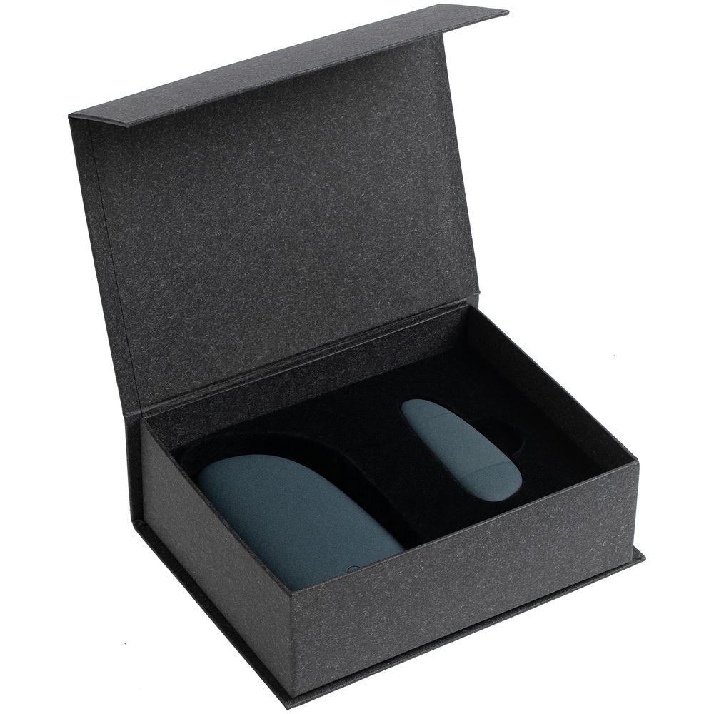 Набор Pebble Universal, средний, синий / Миниатюра WWW (1000)