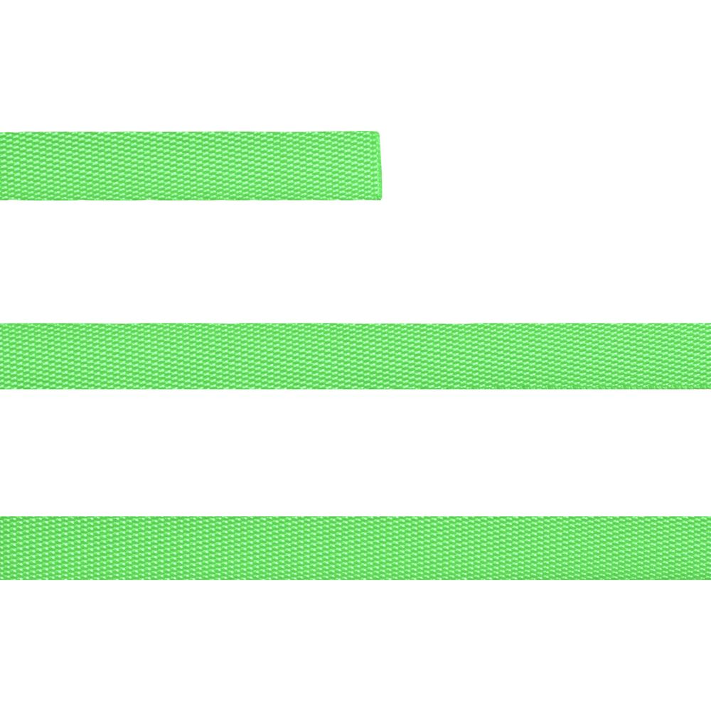 Стропа текстильная Fune 10 S, зеленый неон, 10 см / Миниатюра WWW (1000)