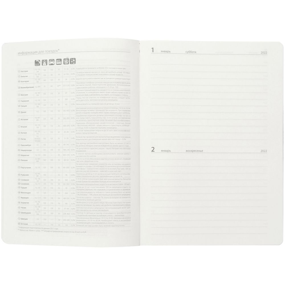 Ежедневник Flex Shall, датированный, серый / Миниатюра WWW (1000)