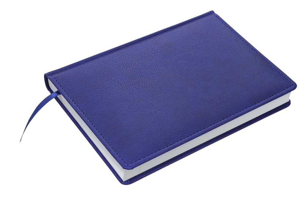 Ежедневник Sagrin, недатированный, синий / Миниатюра WWW (1000)