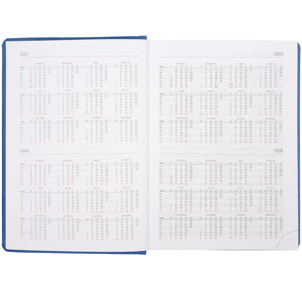 Ежедневник Brand, недатированный, светло-синий / Миниатюра WWW (1000)