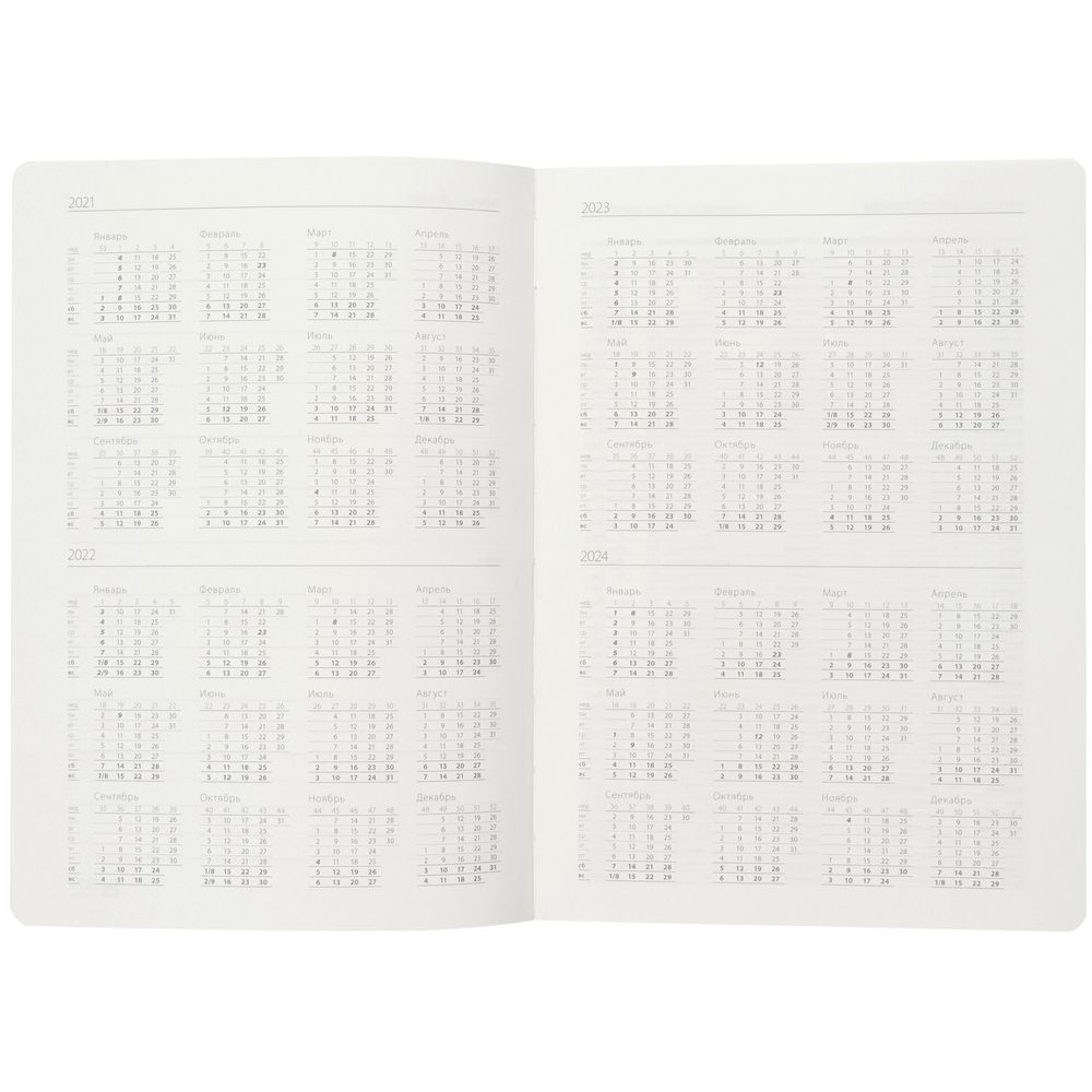 Ежедневник Flex Shall, датированный, серый / Миниатюра WWW (1000)