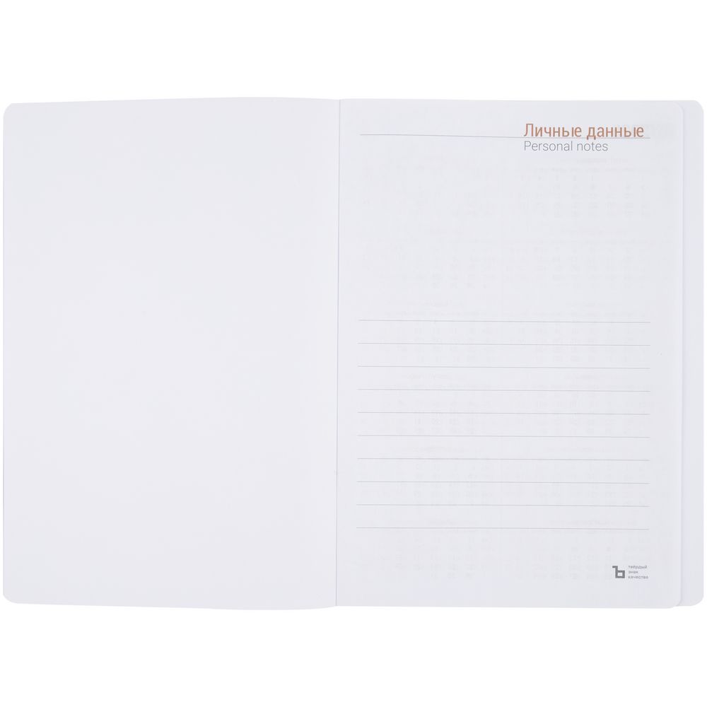 Ежедневник Basis, датированный, красный / Миниатюра WWW (1000)