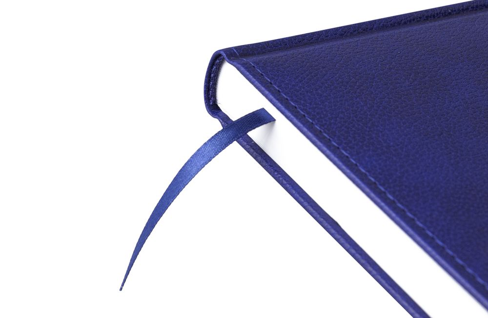 Ежедневник Sagrin, недатированный, синий / Миниатюра WWW (1000)