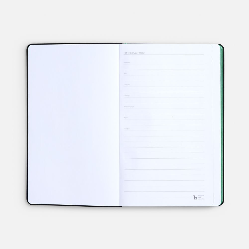 Ежедневник Nice Twice, недатированный, черный с ярко-зеленым / Миниатюра WWW (1000)