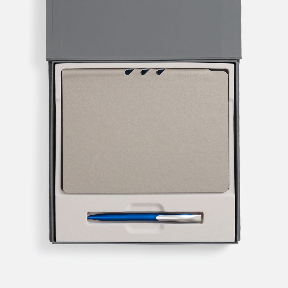 Набор Flexpen Grey, синий / Миниатюра WWW (1000)