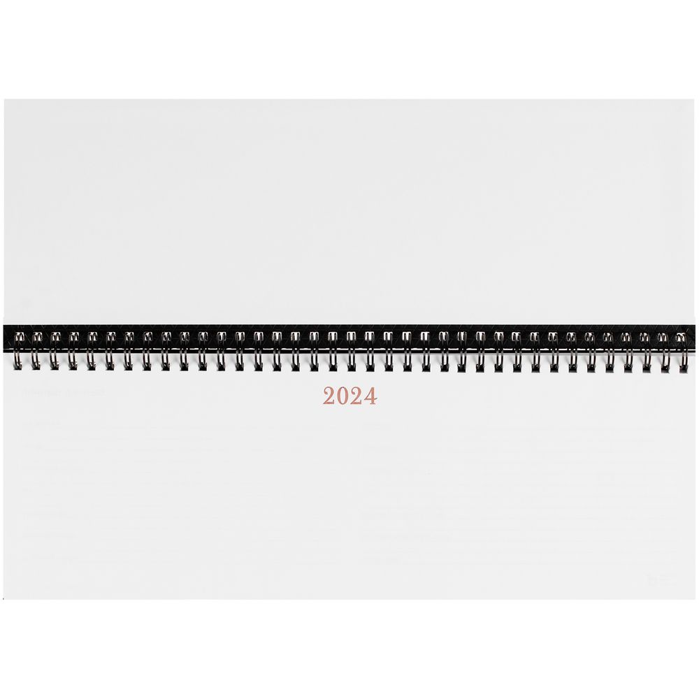 Планинг Brand, датированный, черный / Миниатюра WWW (1000)