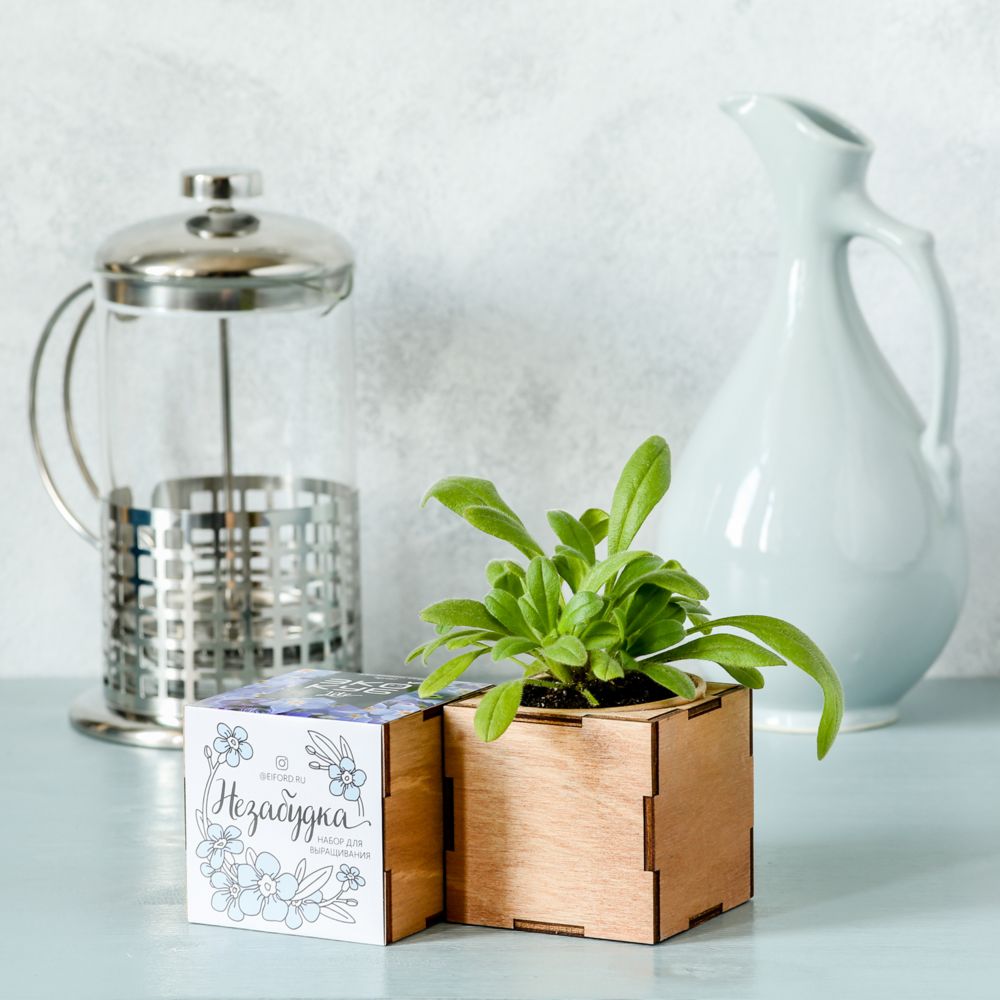 Набор для выращивания «Экокуб Lite», незабудка / Миниатюра WWW (1000)