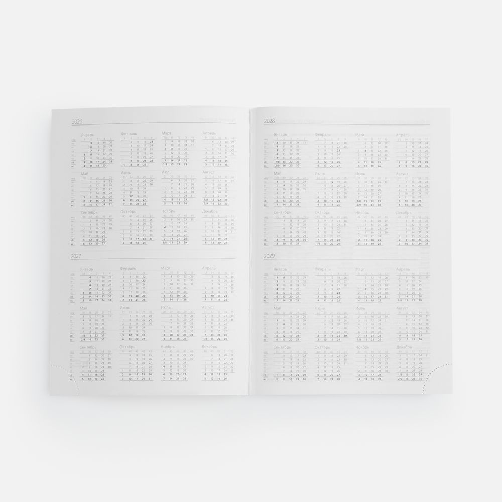 Ежедневник Vivian, недатированный, темно-синий / Миниатюра WWW (1000)