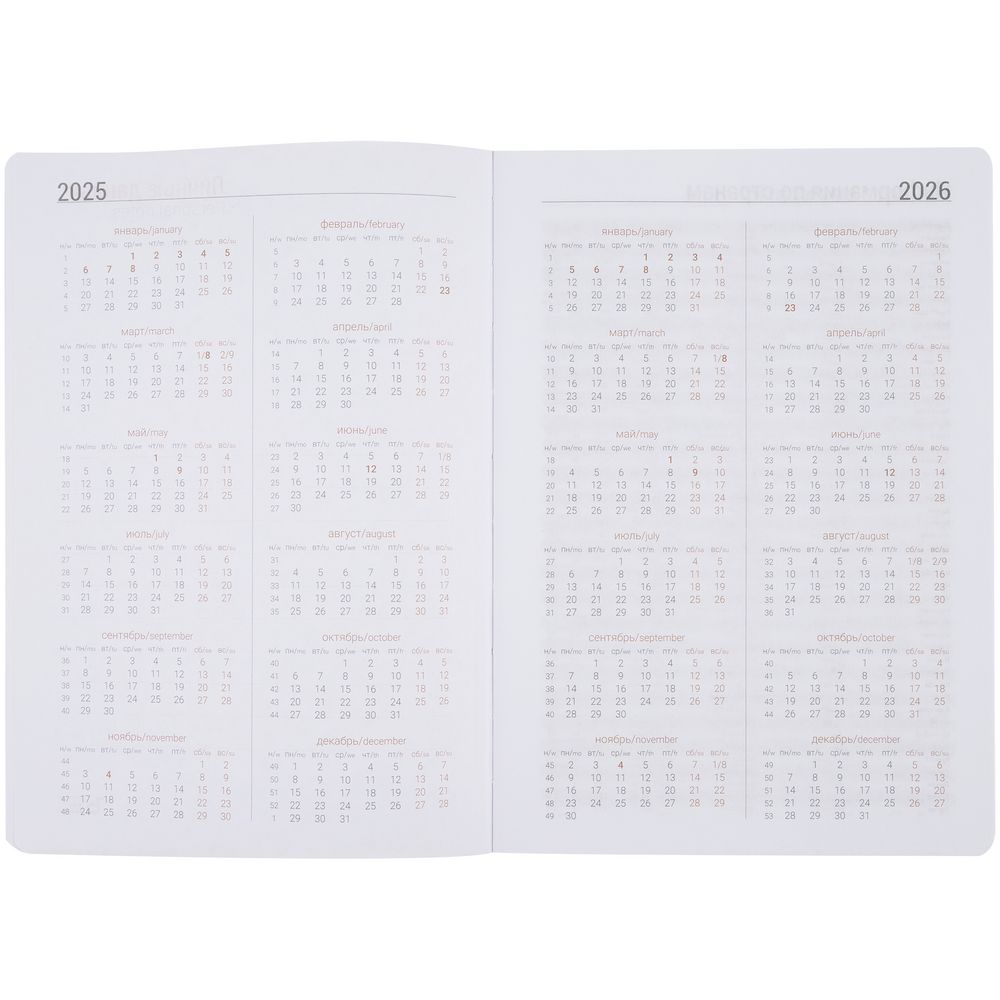 Ежедневник Flex Shall, датированный, серый / Миниатюра WWW (1000)