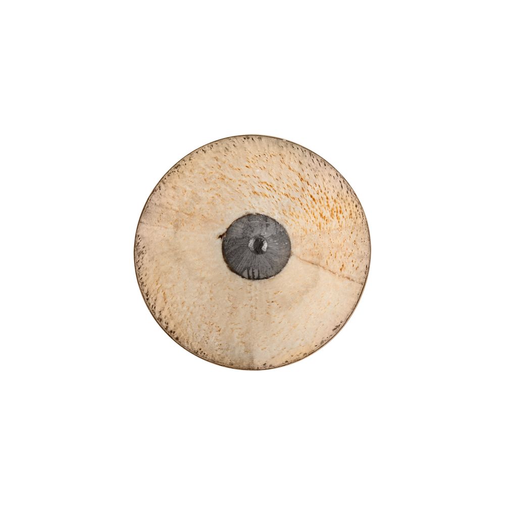 Карандаш простой Hand Friend с ластиком, голубой / Миниатюра WWW (1000)