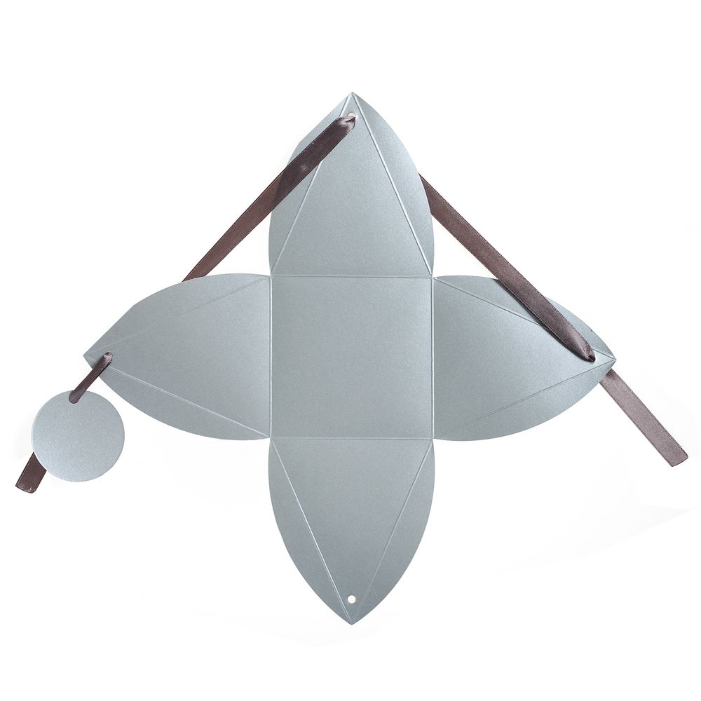 Упаковка Cleo, серебристая / Миниатюра WWW (1000)