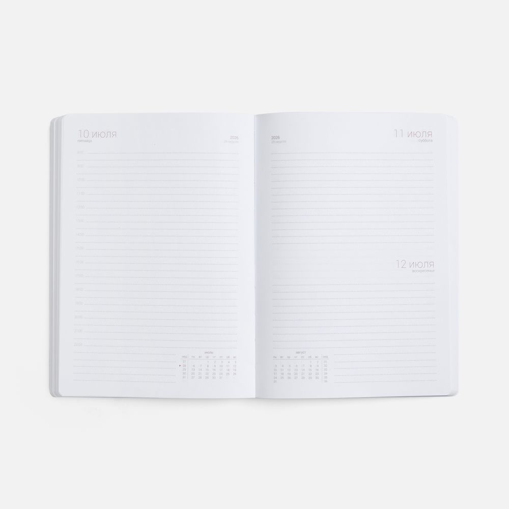 Ежедневник Basis, датированный, серый / Миниатюра WWW (1000)